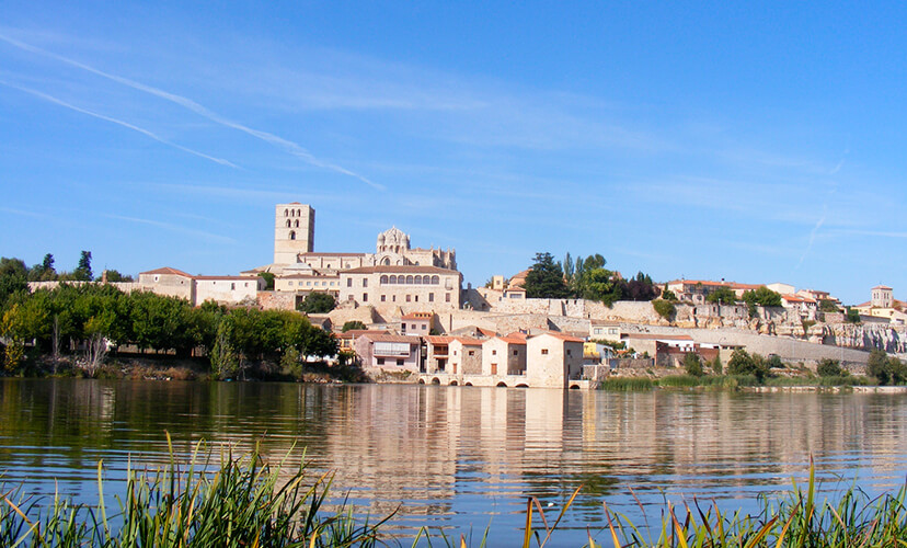 Zamora